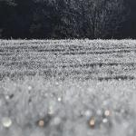 Полина Мастицкая - Бриллиантовые капли первого мороза Бриллиантовые капли первого мороза