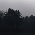 Катя Рубан - чудовищных любимых чудовищных любимых