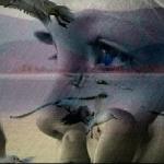 Екатерина Свищева - Когда твоей руки коснется тень Когда твоей руки коснется тень