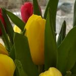 Светлана Воскресенская - 8 марта 8 марта