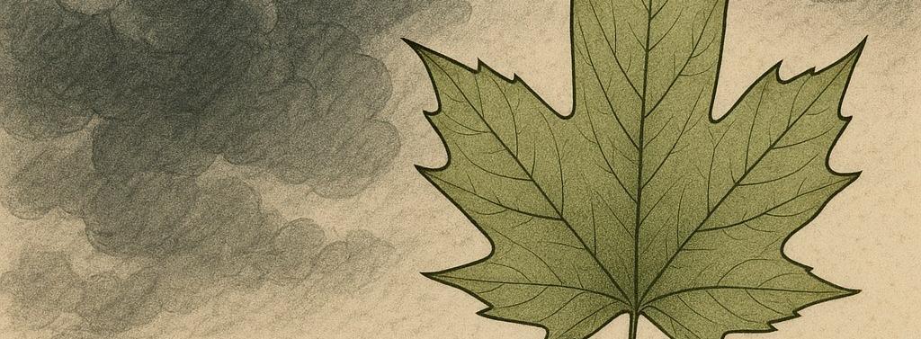 Пусть не блестят они теплом заката Изображение к Пусть не блестят они теплом заката Леонид Самошенко