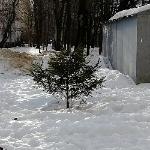 Анастасия Чернышева - Ранняя весна Ранняя весна