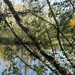 Жизнь прекрасна
