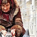 Галина Карпюк - Баба Мотя и голуби Баба Мотя и голуби