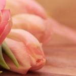 Мария Котикова - Мартовский воздух, пахнет весной. Мартовский воздух, пахнет весной.
