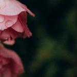 Мария Котикова - Так хочется, пора менять. Так хочется, пора менять.