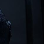 Edgar Allan Poe - The Raven The Raven