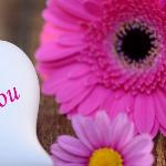 David P Carroll - I Love You With All My Heart I Love You With All My Heart