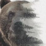 Анна Зорина - Зима Зима
