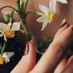 Рябинина Л.М. - Я не беседую, голос затих Я не беседую, голос затих