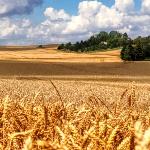 Robert Burns - John Barleycorn A Ballad John Barleycorn A Ballad
