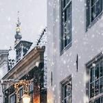Анастасия Керманн - Простуженные души улиц Простуженные души улиц
