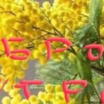 Марина Сорокина - Я женщина Я женщина