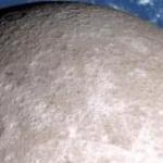 Сергей Шиповник - Теория обратной стороны Луны Теория обратной стороны Луны