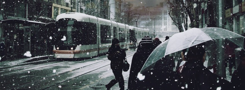 Слышишь шорох?.. Слышишь шорох?.. | Ryfma