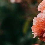 Юлия Гаврилюк - Живите✨ Живите✨
