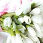 Галина Гвоздецкая - Подснежники Подснежники