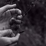 Анастасия Соколова - Список жизни «Поверьте» Список жизни «Поверьте»