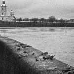 Евгения - Петроградская Петроградская