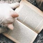 Наталья Ефремова - Книга, кофе и кот Книга, кофе и кот