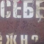 Ольга Данилова - *** ***