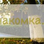 Evgeny-poetry - Незнакомка Незнакомка