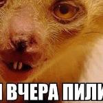 Вадим Элефантов - Лучшее средство для опохмелки Лучшее средство для опохмелки