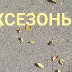 Елена Миронюк - Межсезонье Межсезонье