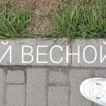 Елена Миронюк - Этой весной Этой весной
