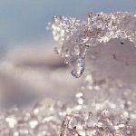 Мила Исаева - Стать Стать