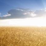 Дядя Рулу - Бескрайняя земля души... Бескрайняя земля души...