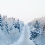 Зимняя дорога