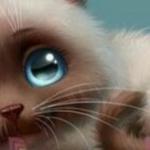 Игорь Исаев - Котёнок Котёнок