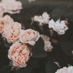 ΠΡΠΈΡΡΠΈΠ½Π° ΠΠΈΠΌΠ° - ΠΌΠ°Π»ΡΡΠΈΠΊ ΠΌΠ°Π»ΡΡΠΈΠΊ