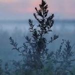 Анастасия Климашевская - Помнишь момент Помнишь момент
