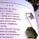 Наталья Рогова - Не помнить о тебе Не верить в расставанье Не помнить о тебе Не верить в расставанье