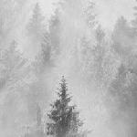 Любовь - Время Время