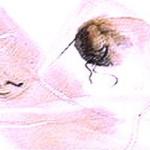 Marianna Soul - Π ΠΌΡΠΊΠ°Ρ
ΡΠ²ΠΎΡΡΠ΅ΡΡΠ²Π° ΠΌΡΠ·Π° ΠΊΠΎΡΡΠΈΡΡΡ Π ΠΌΡΠΊΠ°Ρ
ΡΠ²ΠΎΡΡΠ΅ΡΡΠ²Π° ΠΌΡΠ·Π° ΠΊΠΎΡΡΠΈΡΡΡ
