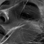 Марина Нечаева - В забытом парке веяло гвоздикой В забытом парке веяло гвоздикой