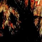 Берег Корвид - Ветер безумия Ветер безумия