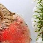 Минус тридцать шесть