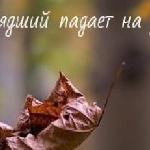 Ирина Сова - Сонет Цурэна Сонет Цурэна
