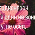 Елена Рид - Ты знаешь, солнце, я спокоен Ты знаешь, солнце, я спокоен