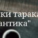 Записки таракана Бантик: Письмо Дорогой Двуногой.