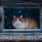 IrinaTitova.poet - ты курить бросай.тебе не идёт... ты курить бросай.тебе не идёт...