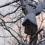 Вернуться бы в детство?