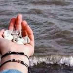 Варя Пономаренко - О море О море