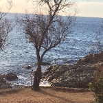 На старых стульях