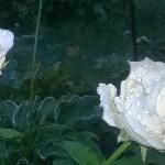 Татьяна Ерёменко - Ты там, куда я больше не вернусь Ты там, куда я больше не вернусь