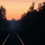 Айлин Старк - Путь длинною в жизнь Путь длинною в жизнь